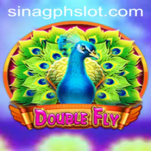 Journey into the Exciting World of DoubleFly with SINAGPH